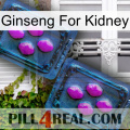 Ginseng For Kidney 03